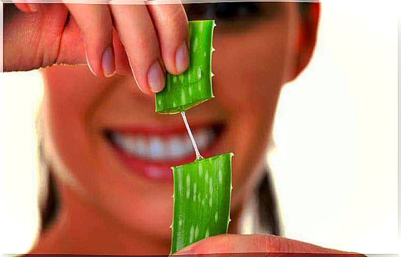 the properties of aloe vera for hair