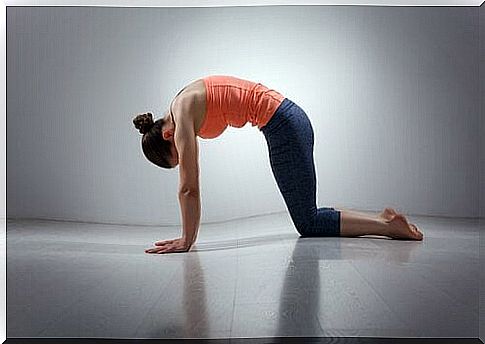 Morning exercises: back stretches.