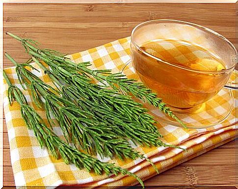 The infusion of field horsetail to cleanse your kidneys.