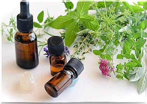 Fight against oral candidiasis with oregano oil