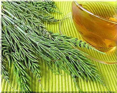 Horsetail infusions to treat water retention