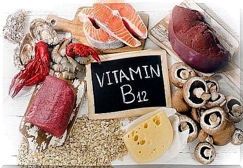 Foods that contain vitamin B12