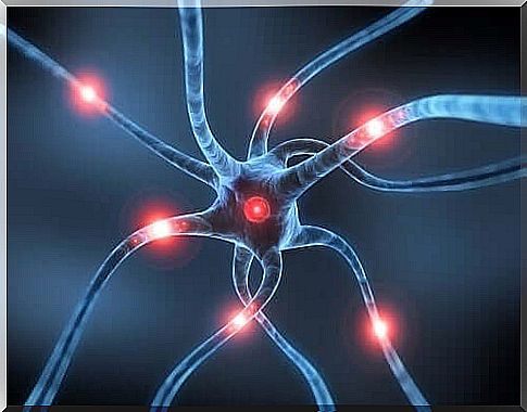 Parkinson's disease and neurons