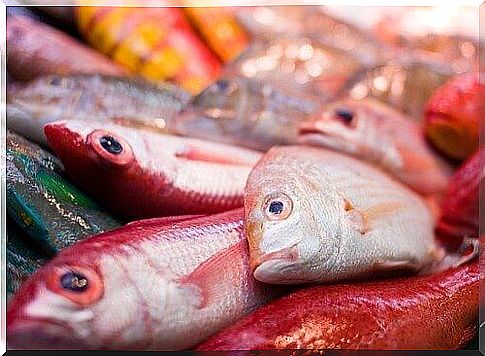 link between autism and mercury-contaminated fish