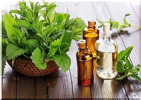 Simple and effective remedies to fight dandruff: white vinegar and mint