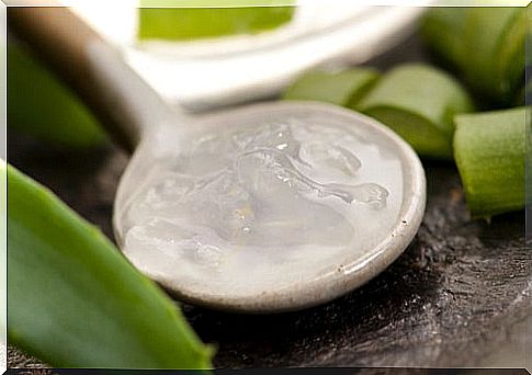 Aloe vera for the lips.